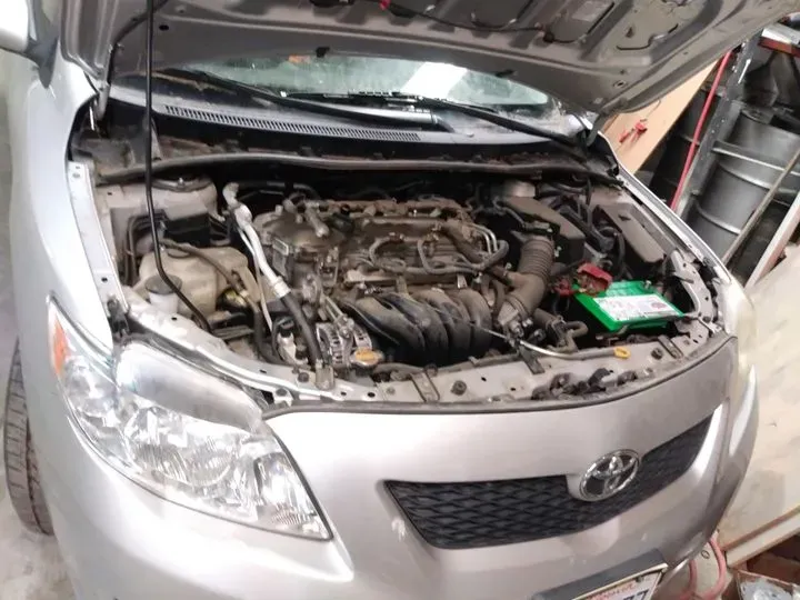 https://cdn.trust-mechanics.com/photos/14AAjryqf7o9GTHa18lZ/a0b2eb49-a27e-4489-a6f3-63dff480fb9a_720x720