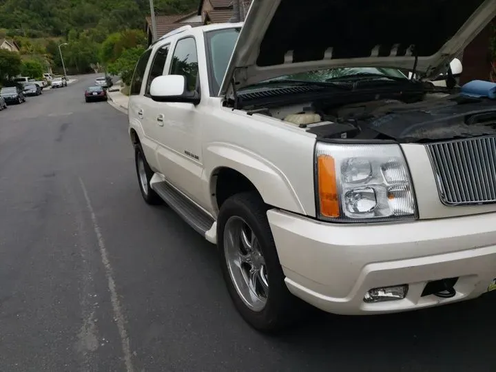 https://cdn.trust-mechanics.com/photos/1CK5Wwd8erE3dfATJqQQ/1f3b976f-d7ac-4046-93b2-bfe948fe9e6a_720x720
