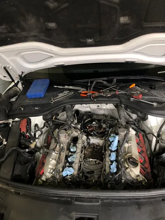 https://cdn.trust-mechanics.com/photos/1ZUVgpjxbJAXePhfHYp2/9f4708c4-1ec8-49af-910b-eb56f383beff_720x720