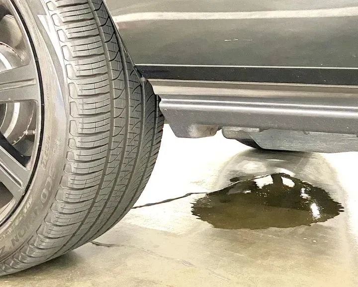 https://cdn.trust-mechanics.com/photos/1gjeyTSez2mTdXHKFG3X/d351f0f5-7875-4704-a9e9-5cebc8d8d590_720x720