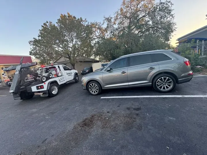 https://cdn.trust-mechanics.com/photos/2IuBQieK2otAiEFaCARt/79c2ae1e-170a-48b9-b383-fa392ccf5208_720x720
