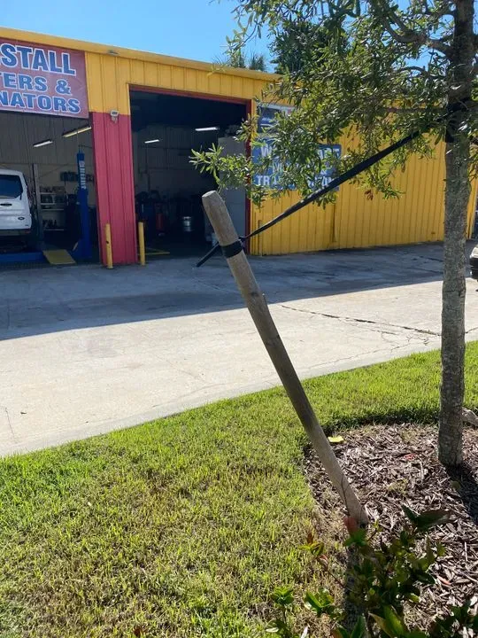 https://cdn.trust-mechanics.com/photos/3naTnJ5zS5txiSVJEp2Z/cab6242a-92c4-4978-ad52-c287d2651e8a_720x720