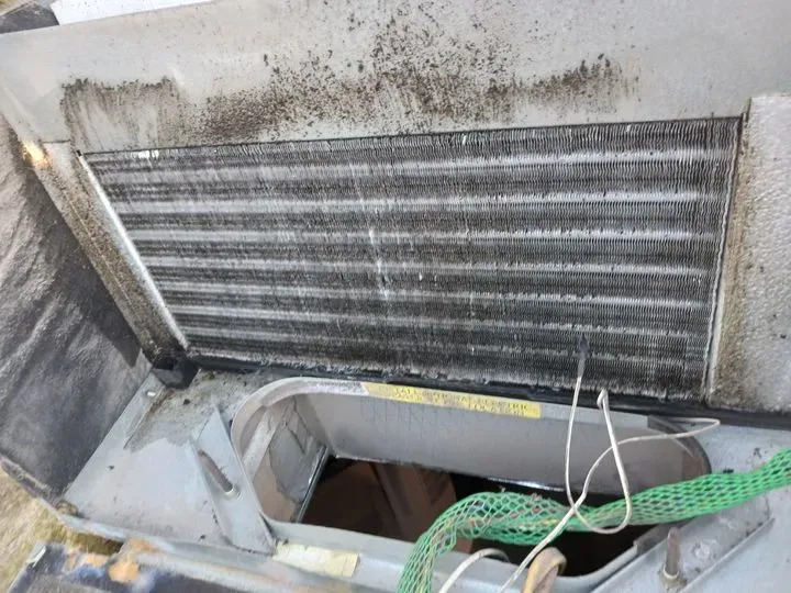 https://cdn.trust-mechanics.com/photos/4FW2MSFdXuDDz6ZQfkKL/576042cf-3255-4356-be56-20af24727711_720x720
