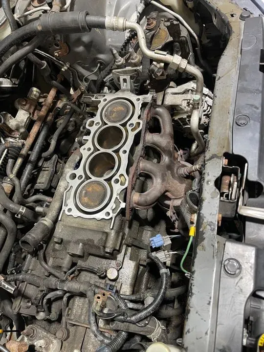 https://cdn.trust-mechanics.com/photos/4uYxKsmlYjQT37odlc3j/d5d84511-bc3c-4402-97ff-a1c51b4cfc90_720x720