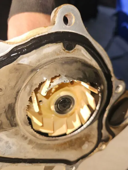 https://cdn.trust-mechanics.com/photos/5Kb1TOGXIkC1FpZAo6GT/2cd00ed8-e185-491e-8dbf-f98b1d99f591_720x720