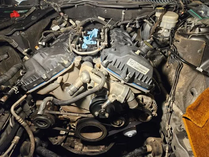 https://cdn.trust-mechanics.com/photos/5Kb1TOGXIkC1FpZAo6GT/de5b079b-a9e7-4d9b-8158-6567ef5e2181_720x720