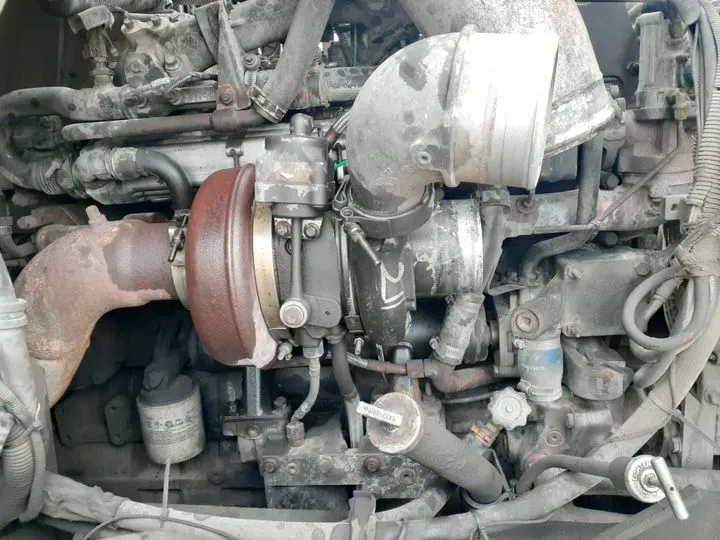 https://cdn.trust-mechanics.com/photos/5MvzIzcK2Mxop34upCdi/a88c2ebc-01a6-4c2c-bd09-dd893c1c9c82_720x720