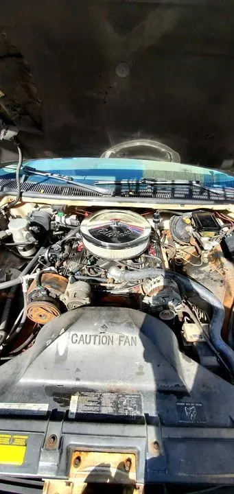 https://cdn.trust-mechanics.com/photos/5vnyZHQH9bh3FjEpOKpL/ac15b22b-bb11-4658-87fb-f56d1e276b1d_720x720
