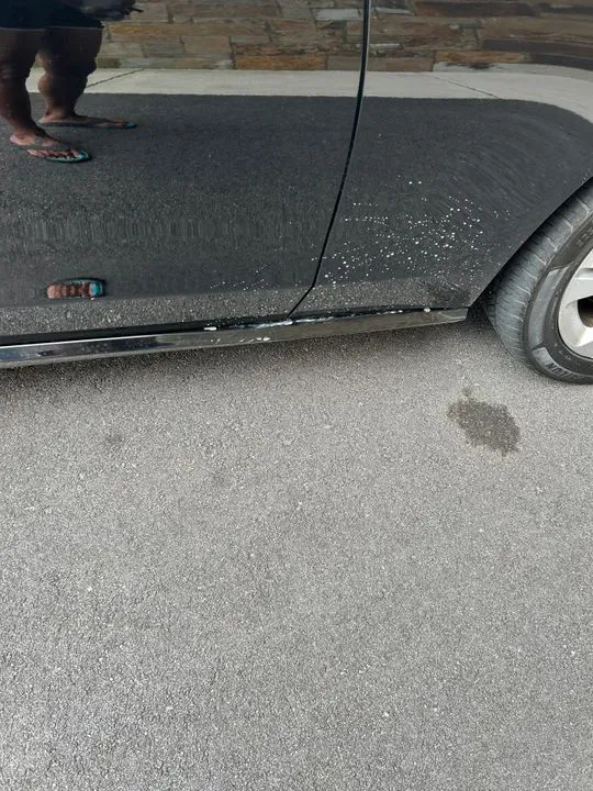 https://cdn.trust-mechanics.com/photos/6FrCqtLM0IsL0meZocUj/b22f9292-680d-4e39-894d-f782413eca78_720x720