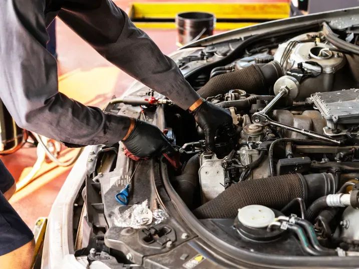 https://cdn.trust-mechanics.com/photos/6HVitggEeNbonKy2fYa4/bccb6e4d-9c41-48b1-a544-67a479f172e4_720x720