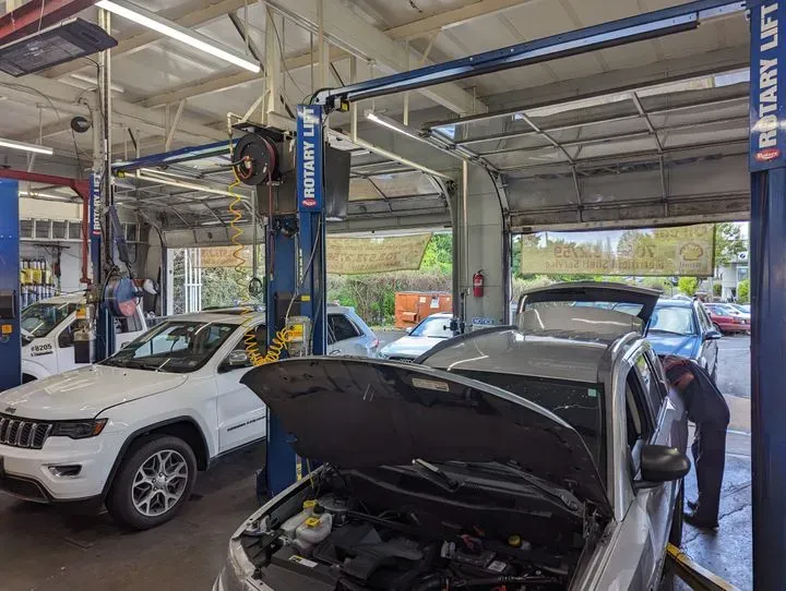 https://cdn.trust-mechanics.com/photos/6PfwUBIsy8d0fH5iWSjI/d607a301-1cc9-4b4a-a383-59ac4e15fa22_720x720