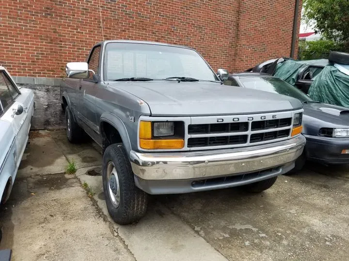https://cdn.trust-mechanics.com/photos/7JRcSkDRUWrmzkFx9fCw/fee1241c-5a8d-4f22-894f-c9bebf2a0f55_720x720