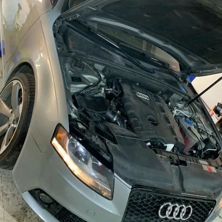 https://cdn.trust-mechanics.com/photos/7b45NfkxaF7WDT8ym53Y/e0c57677-396d-400f-a6e5-2527c86d0f1a_720x720
