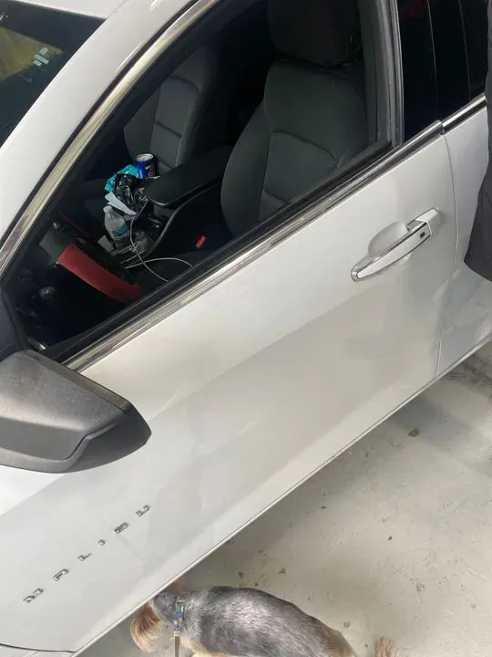 https://cdn.trust-mechanics.com/photos/8jMJcdUQpA7p7QVKJC1k/cddc0a93-03b5-44dc-a7a9-c7b3c1ad1217_720x720