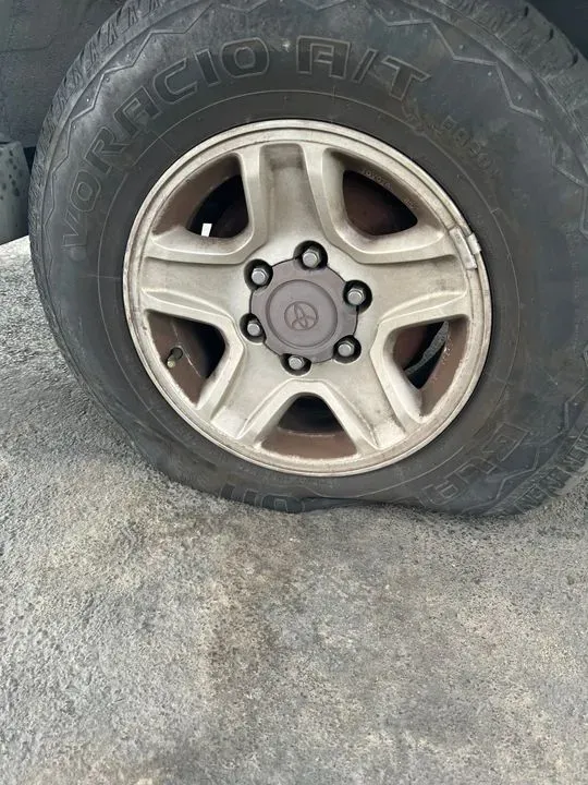 https://cdn.trust-mechanics.com/photos/8wDdkxOQ7ziAEm2lCuau/f21d42e3-48fa-42ef-8990-a4c64701c308_720x720