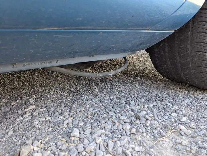 https://cdn.trust-mechanics.com/photos/8yLixqOod0UFZWSwd1GG/6088c28e-c8f4-46a1-8b6f-e080bedc8cce_720x720