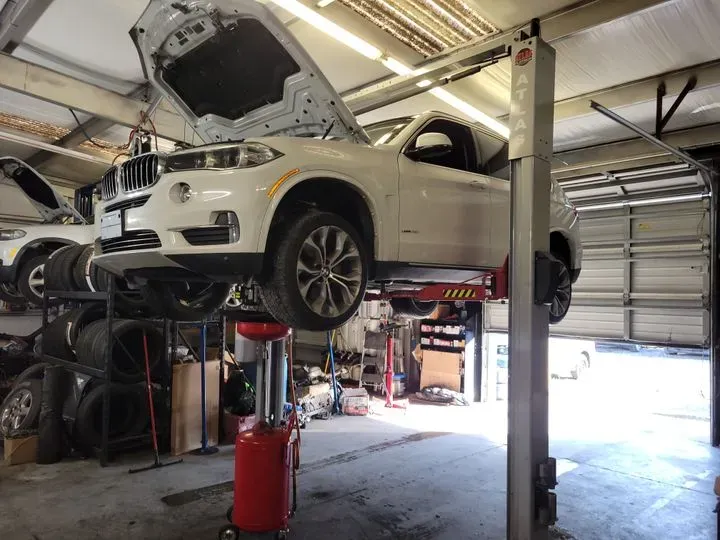 https://cdn.trust-mechanics.com/photos/AmPCRNeyQnZdWTmbhlsY/efab95d2-00c8-477e-8568-e70f9fcab5a9_720x720