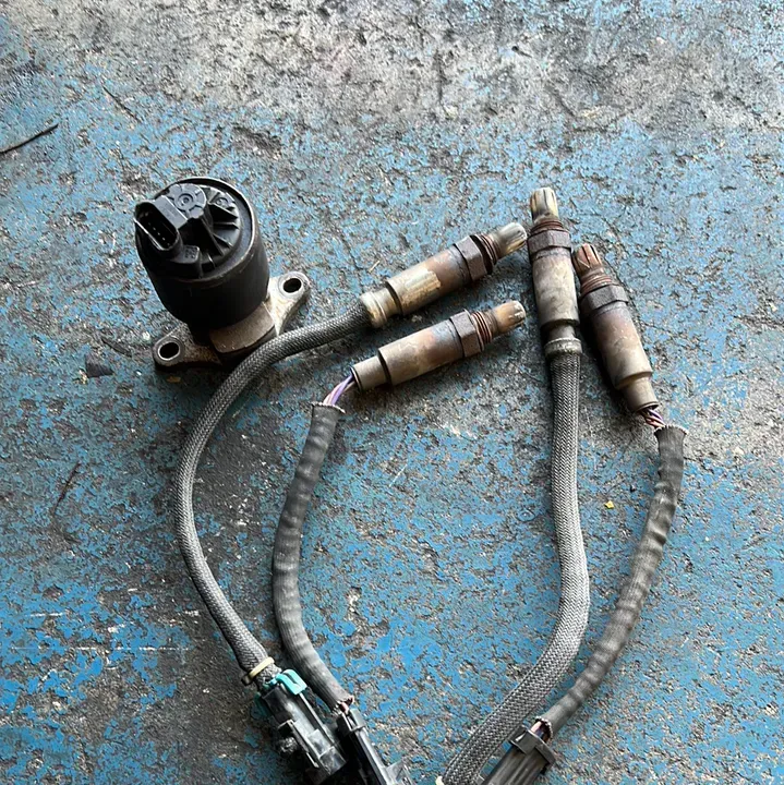 https://cdn.trust-mechanics.com/photos/AnmRzjFlKSoSAPEaqeCz/9142766f-c2c6-4e8b-861d-40bb039ff23f_720x720