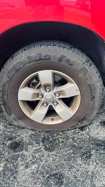 https://cdn.trust-mechanics.com/photos/AqRzQxAqtQNwaAlc7wqx/3d69c234-00cc-429f-9a4b-a6419f47cedf_720x720