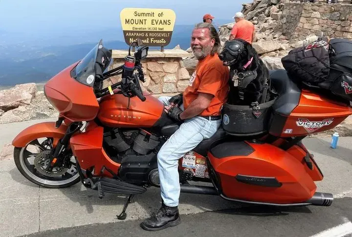 https://cdn.trust-mechanics.com/photos/ArAgIZoqyWjRXzIrAGD6/6d503b3d-4065-47cf-b8d8-288e9f857d5d_720x720