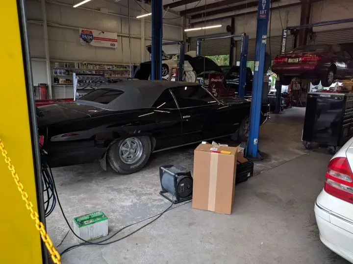 https://cdn.trust-mechanics.com/photos/BTbWfIm1NzvGIuGkdPXN/baea8c98-ff4b-4611-b85f-8c74d86af929_720x720