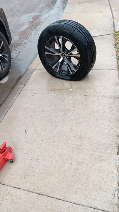 https://cdn.trust-mechanics.com/photos/BhHYn3rqxuE5j61561Vu/e88cc129-93ab-4327-b6ec-6324f9ca44be_720x720