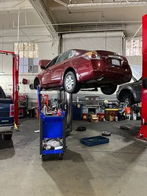 https://cdn.trust-mechanics.com/photos/C4wryn7hMEq2DFd87UnR/97a39cc7-bc7d-4b0f-a28b-90a1d37e9f98_720x720