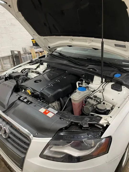 https://cdn.trust-mechanics.com/photos/CSvsTcMXJ76BqijTUwJ2/6c9281d2-4c6f-4949-beb6-43cc94ba0d33_720x720