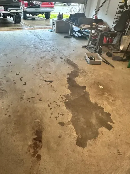 https://cdn.trust-mechanics.com/photos/CbxYRU2athNxZ0gqkYgY/b7d6a435-3386-4644-8742-2fb6f2a45e9a_720x720