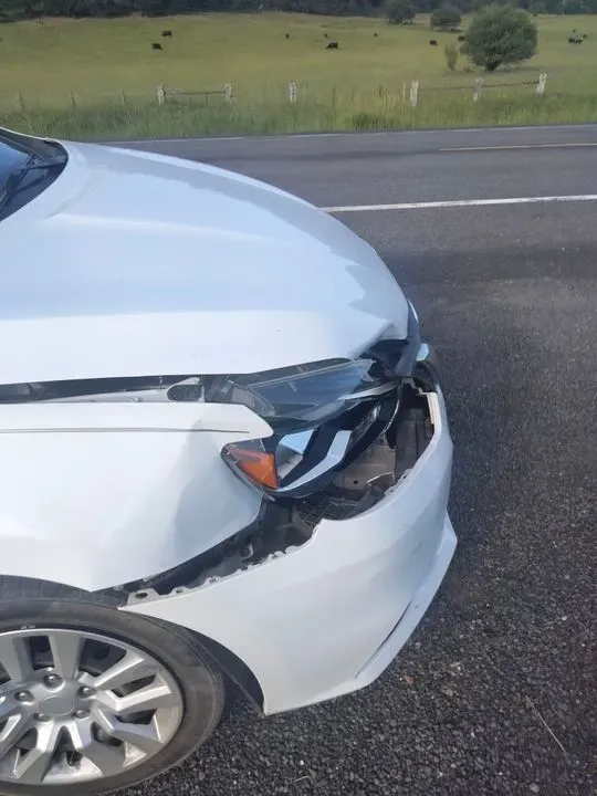 https://cdn.trust-mechanics.com/photos/Dm3mO1xh9zSmGKVMOfqU/9a75fed2-ee40-4b03-9a7f-a7d69f6ce911_720x720