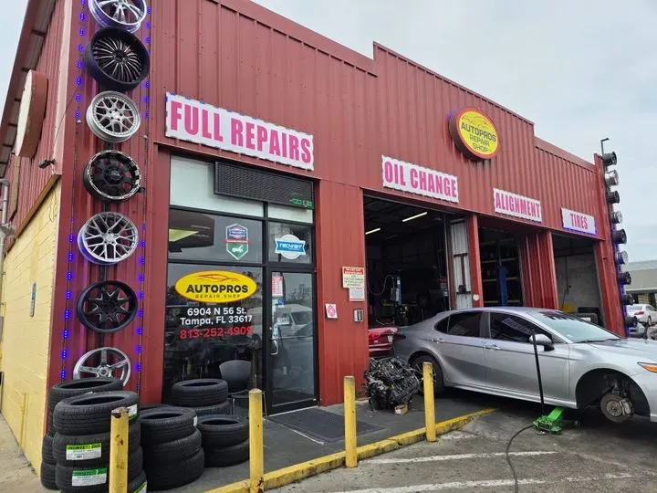 https://cdn.trust-mechanics.com/photos/EPJ1ZHkzSK5JXdu71J18/1a39e37b-870c-45d3-9865-5672fb4b98e2_720x720