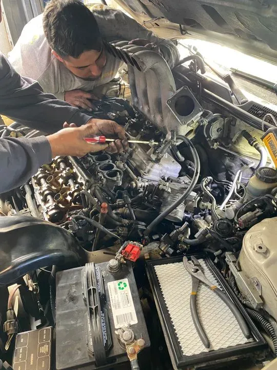 https://cdn.trust-mechanics.com/photos/EeMlE3NPM1TIlDbJpSzc/fc7d5d69-7c2b-4595-b929-879df8535e4b_720x720