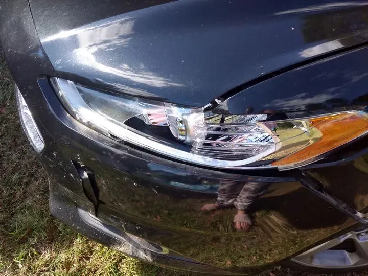 https://cdn.trust-mechanics.com/photos/EidBQAWCw9RhV4s8V6S1/d9b84f0b-0188-44ff-ab59-b8b58c7e15af_720x720