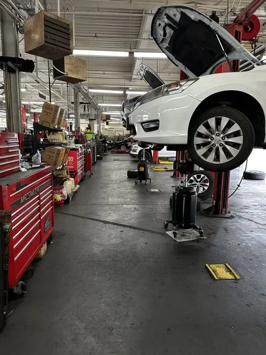 https://cdn.trust-mechanics.com/photos/F0Kuqaua93D3iUjOZw4j/85a7f29e-83e0-45b2-889c-55d9f6908a28_720x720