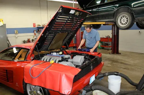 https://cdn.trust-mechanics.com/photos/FIwN7VJL7XaclunZ0hny/9a9a5b55-ff98-4e28-983c-7b1b35472d68_720x720