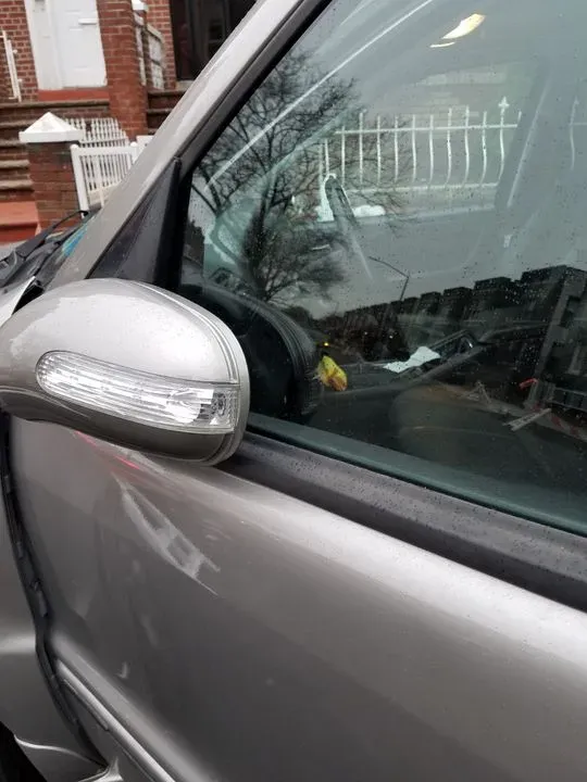 https://cdn.trust-mechanics.com/photos/FJa4Umwz6OBX2mIzDxC9/ae383a8f-d013-4ac4-9f58-78fd61bfc024_720x720