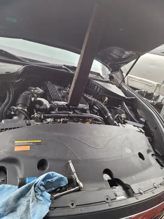 https://cdn.trust-mechanics.com/photos/FWmUZSynXAy7ZPdD8wDL/43d94f1a-98cc-4623-9442-0ad706e4d5d7_720x720
