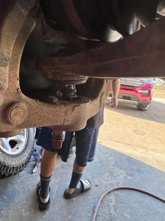 https://cdn.trust-mechanics.com/photos/FbQ5oCR9gqAbXZ9L4IEe/daadc801-76c4-43b5-90d1-73707821e615_720x720