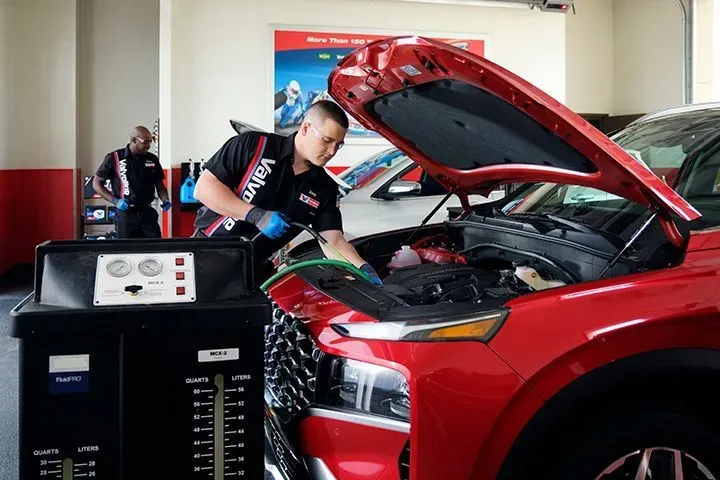 https://cdn.trust-mechanics.com/photos/FhutJwT5OoZPaE1htR1v/0a035db5-140c-4646-a5f0-2153b302f7e0_720x720