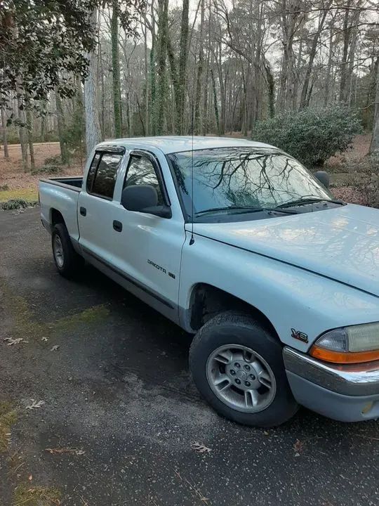 https://cdn.trust-mechanics.com/photos/FwkRUioL71Qt83fqUr3L/5b46573d-c1d7-4b81-9216-9e05f56d9f87_720x720