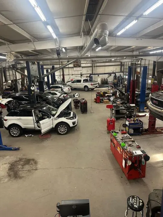https://cdn.trust-mechanics.com/photos/HeTNbVO4dIn3jkKQbOx3/fbc3650b-772e-416d-809c-6caf048739e5_720x720