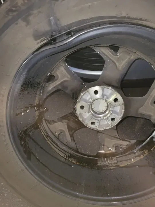 https://cdn.trust-mechanics.com/photos/IXIjnfWFzyN0Y6OBmNEN/d9f88925-2a00-429c-9c6b-a96b5db59dcd_720x720