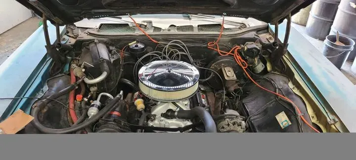 https://cdn.trust-mechanics.com/photos/J9J6YGI6mKrEqLLG1vbT/ae8fa78d-f747-4a87-8518-f5a9e05a6080_720x720