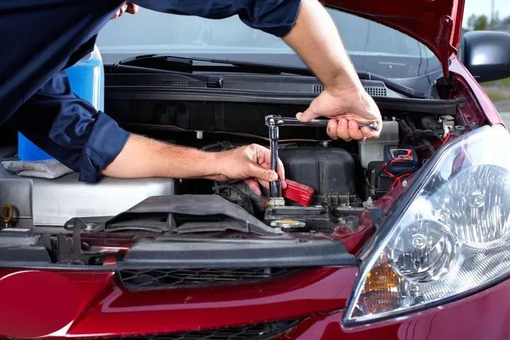 https://cdn.trust-mechanics.com/photos/JrQALQ7RjUml7UUDuemN/e68f22a5-d087-442c-8fcd-609d8b90751b_720x720