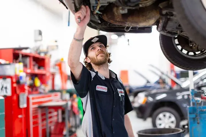 https://cdn.trust-mechanics.com/photos/KEolJaVNfzWfn1wd9Kpk/c93961bd-74eb-4467-bce8-96f735c42652_720x720