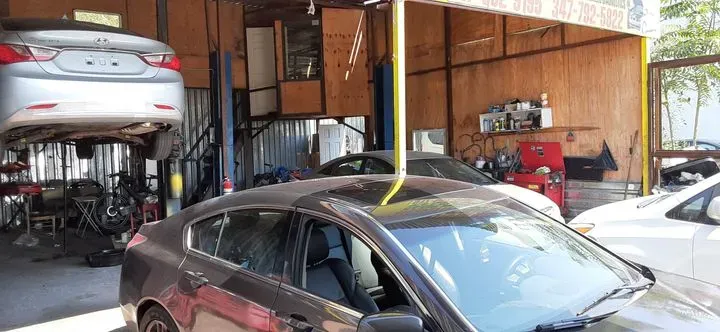 https://cdn.trust-mechanics.com/photos/LNa6x2eO4htGuD65UTB1/d24a8248-0c80-433d-b5fe-efb42afec35c_720x720