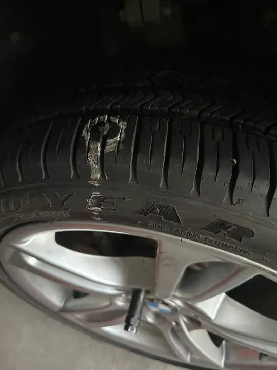 https://cdn.trust-mechanics.com/photos/LmxImt1fPU3PrIVZDwLP/87610111-2077-455b-8b1d-7952ca6cea38_720x720