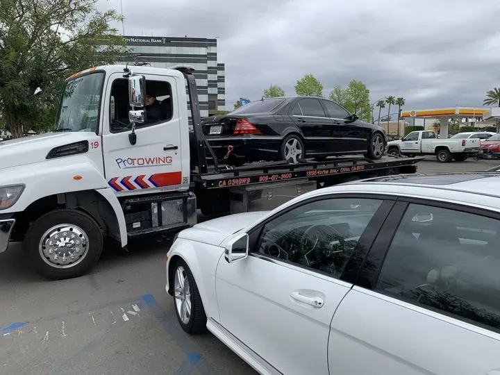 https://cdn.trust-mechanics.com/photos/MG3rqmFhapSLuTJaNRtL/37f6634d-6e47-4b72-a79e-e969a33b176f_720x720