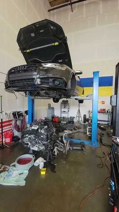 https://cdn.trust-mechanics.com/photos/MXA9TFQ1O55NJP9f8yPV/268b8a9f-144f-40ff-8e15-11a3d0a5734c_720x720