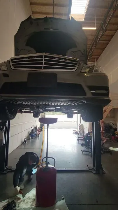 https://cdn.trust-mechanics.com/photos/MXA9TFQ1O55NJP9f8yPV/5fa7a26a-00cc-48ff-bf31-98ee60f02a6b_720x720